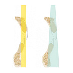 Gendex Pan eXam Plus 2D - дентальный цифровой томограф