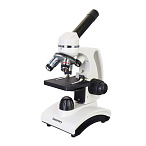 Микроскоп Levenhuk Discovery Femto Polar с книгой
