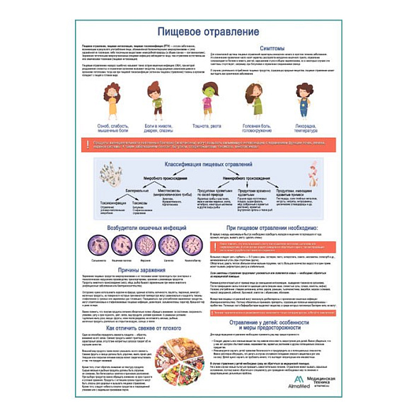 Пищевое отравление, медицинский плакат А1+/А2+ (глянцевая фотобумага от 200 г/кв.м, размер A2+)