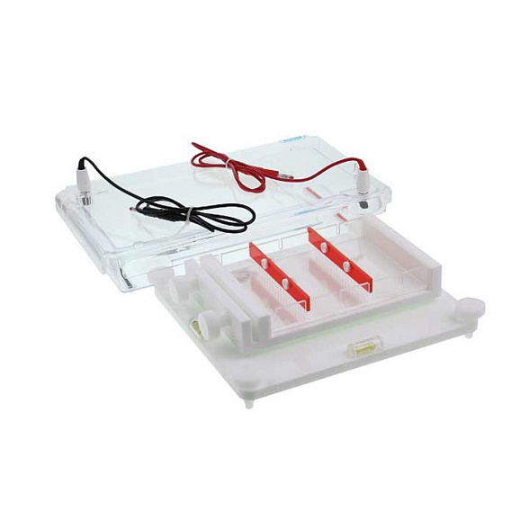 Камера для горизонтального электрофореза SE-2