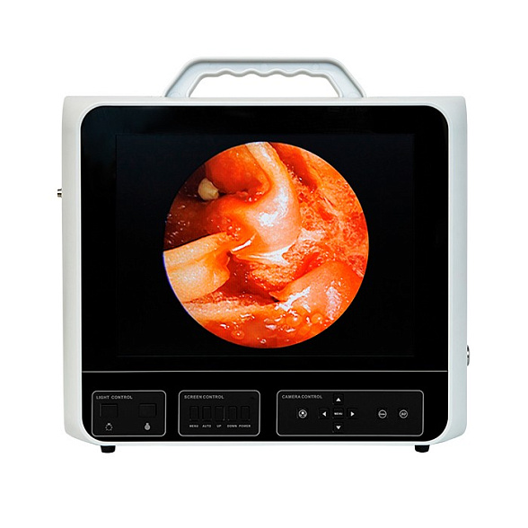 Видеокамера эндоскопическая с принадлежностями, вариант исполнения: F-168DH (DS.Vision SD 3in1), DS Med