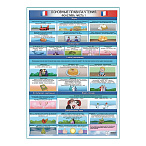 Французский. Фонетика: Носовые звуки, Связывание, Сцепление, Элизия, Диакритические знаки — плакат А1+/A2+ (глянцевая фотобумага от 200 г/кв.м, размер A2+)