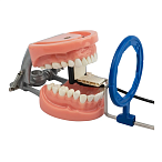 AimRight Adhesive System - универсальные адгезивные позиционеры для визиографа, набор