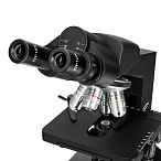 Микроскоп бинокулярный Levenhuk 890B