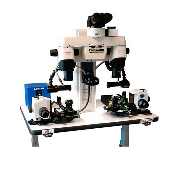 Cравнительный микроскоп LCF