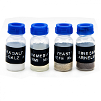 Микроскоп школьный Эврика 40х-1280х с видеоокуляром в кейсе