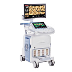 Ультразвуковая диагностическая система GE Healthcare Voluson E6