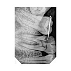 Handy HDR-380 - радиовизиограф