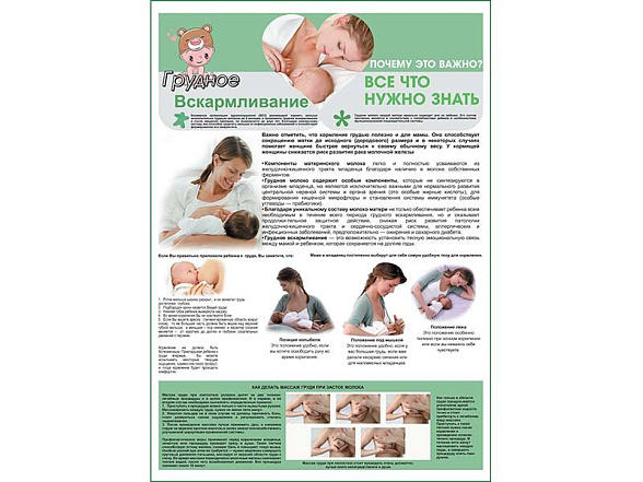 OLD Грудное вскармливание плакат глянцевый А1/А2 (глянцевый A2)