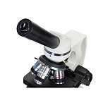 Микроскоп Levenhuk Discovery Atto Polar с книгой