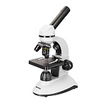 Микроскоп Levenhuk Discovery Nano с книгой
