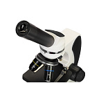 Микроскоп Levenhuk Discovery Pico с книгой