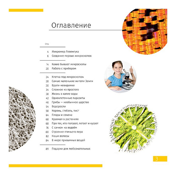 Микроскоп Levenhuk Discovery Femto Polar с книгой