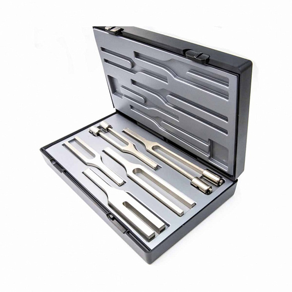 Riester Besteck II отоларингологический набор камертонов из стали, 5 шт